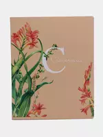 7 800 so'm Maktab daftarchasi 48 varaq BG "Mix-10. Qizlar" qatori (Art. - T5sk48_8570) Assortiment