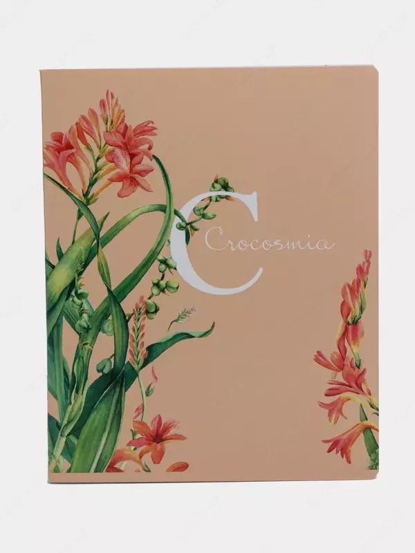 Maktab daftarchasi 48 varaq BG "Mix-10. Qizlar" qatori (Art. - T5sk48_8570) Assortiment