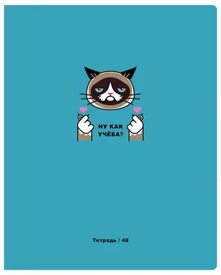 Daftar 48 varaq BG "Mix-10. Boys" liniyasi (Art. - T5sk48_10409) Assortiment