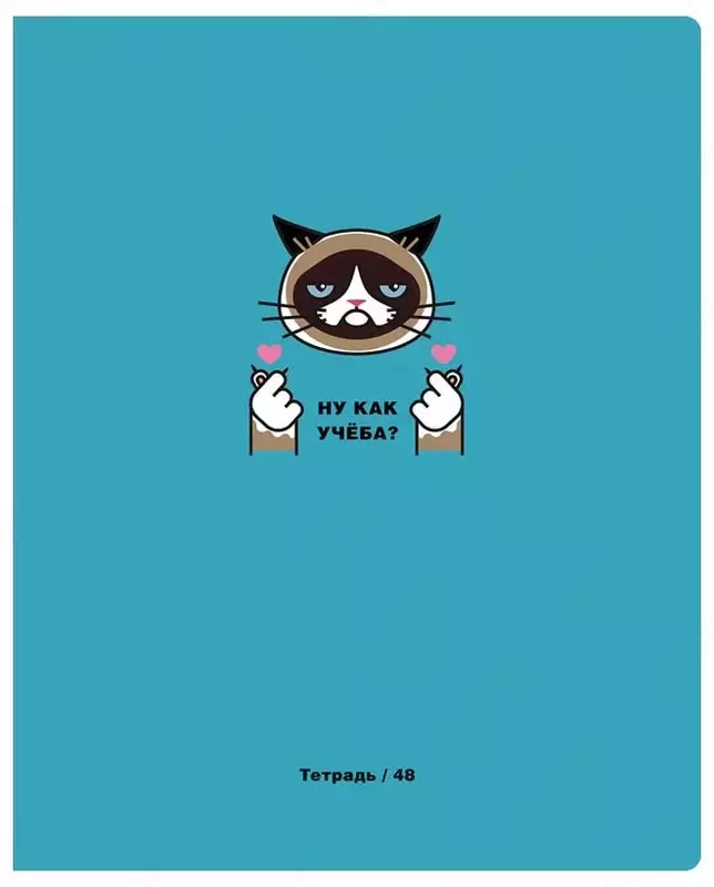 Тетрадь 48 листов BG "Mix-10. Мальчики" линия (Арт. - Т5ск48_10409) Ассорти