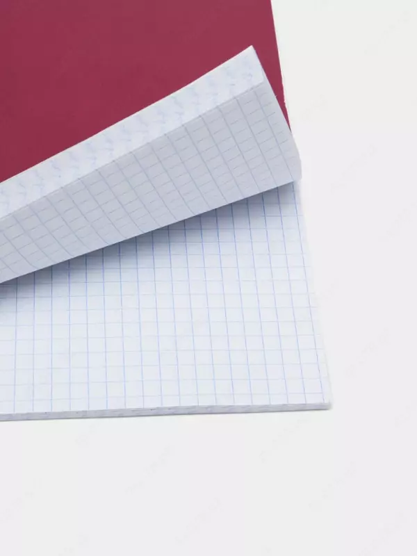 Тетрадь 80 листов BG "Monotone" клетка (Арт. - Т4гр80_8340) Бордовая