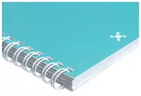 25 500 сум Тетрадь 80 листов BG "Не усложняй!" клетка (Арт. - Т4гр80_9705)