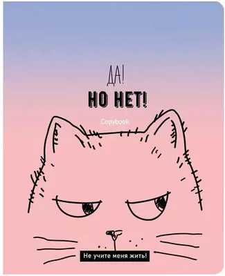 Школьная Тетрадь 80 листов BG "Да, но нет" клетка (Арт. - Т5ск80_8843) Ассорти