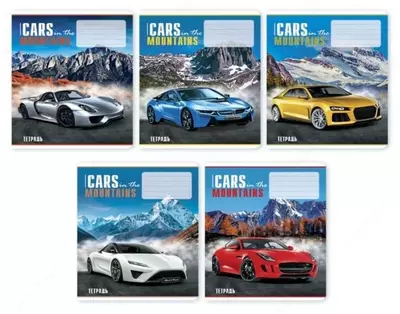 Тетрадь 12 листов Феникс "Авто и горы" линия (Арт. - 34148) Ассорти