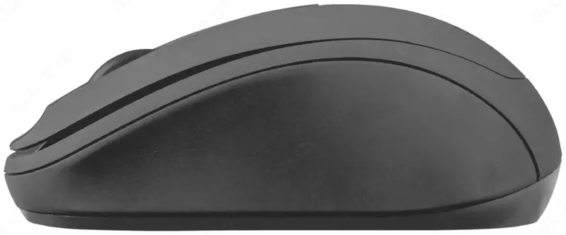 Беспроводная мышь "Trust" Ziva Compact WL USB (Арт. - 21509_TRUST) Черная