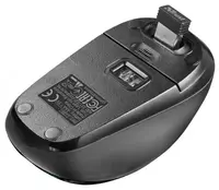 Simsiz sichqoncha "Trust" Yvi WL USB (Art. - 23387_TRUST) Parrot Chakana savdo