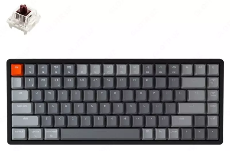 Keychron Gateron K2 LED USB klaviaturasi (Art. № - K2A3_Keychron) Qora/Kulrang