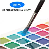   Акварель Гамма Классическая  медовая  полусухая  10 цветов  без кисти  пластик  европодвес