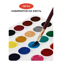  Акварель Гамма Мультики NEW  медовая  24 цветов  без кисти  пластик  европодвес - 