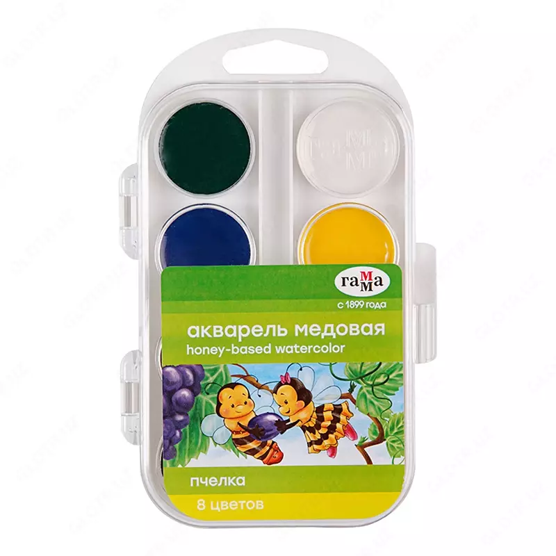 Akvarel Gamma "Bee NEW", asal, 08 rang, cho'tkasiz, plastmassa, evro kulon