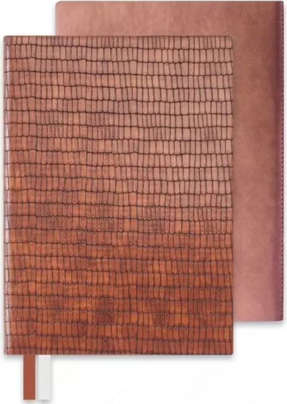 Бизнес-блокнот А5 (206x146мм 192стр.)