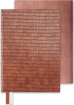 Biznes daftar (A5, 211x146, 192 bet, neon to'q sariq/sariq sahifalar, elastik tasma ushlagichi), qora, ko'k.