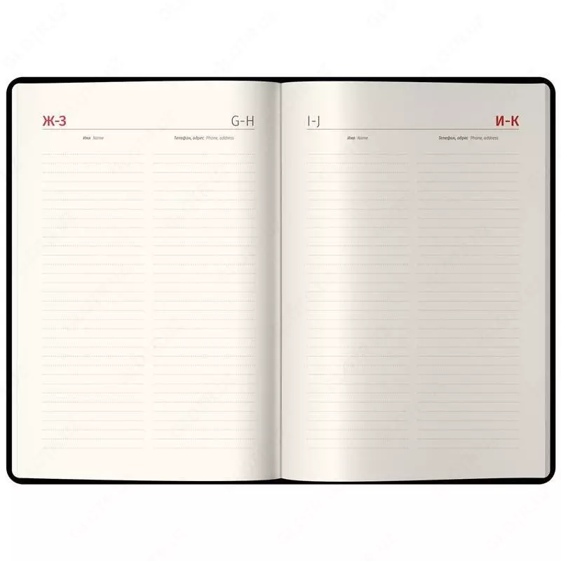 Kundalik 2023 yil, A4-(B5), 184 varaq, charm, Delucci, silliq teri