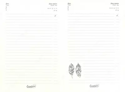 Ежедневник недатированный, формат А5, размер 211*146мм 47575 Феникс+