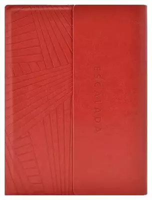 Ежедневник-органайзер недатированный , А5, (кожзам, цвет красный, подарочная упаковка) 50437 Феникс+