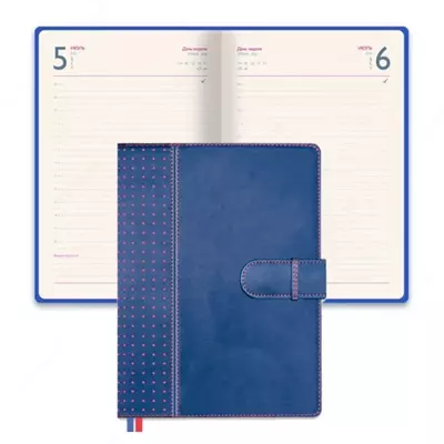 Ежедневник-органайзер полудатированный (А5+, 165х240 мм, 384 стр.) Подарочная упаковка. Цвет синий. 47535 Феникс+