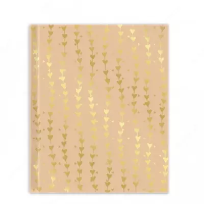 Записная книжка (113х150мм, 160стр.) 45688 Феникс+