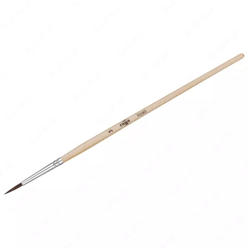 Echki cho'tkasi, Gamma, dumaloq