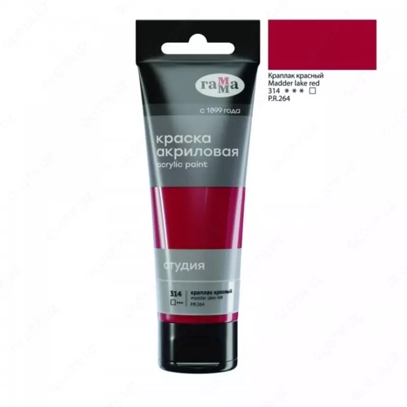 Akril badiiy bo'yoq "Studio" Gamma, 75ml, plastik naycha