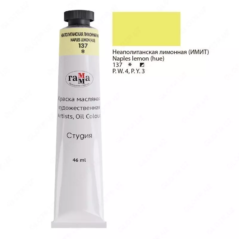 Badiiy moyli bo'yoq Gamma "Studio", 46ml, kolba