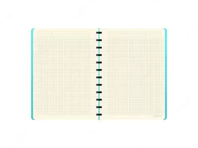 Бизнес-тетрадь Berlingo "Eclipse" А4+, 305 х 225 мм, 80 л., обложка пластиковая, кольца (Арт. - RNt_A4002)