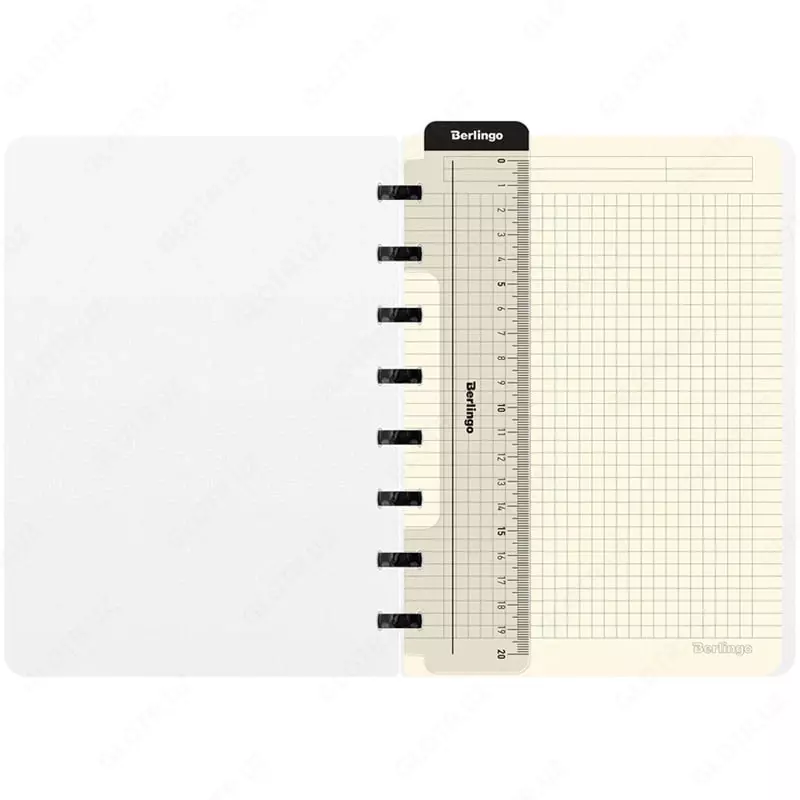 Бизнес-тетрадь Berlingo "First in Space" А5+, 220 х 160 мм, 80 л., обложка пластиковая, кольца (Арт. - RNt_A5201)