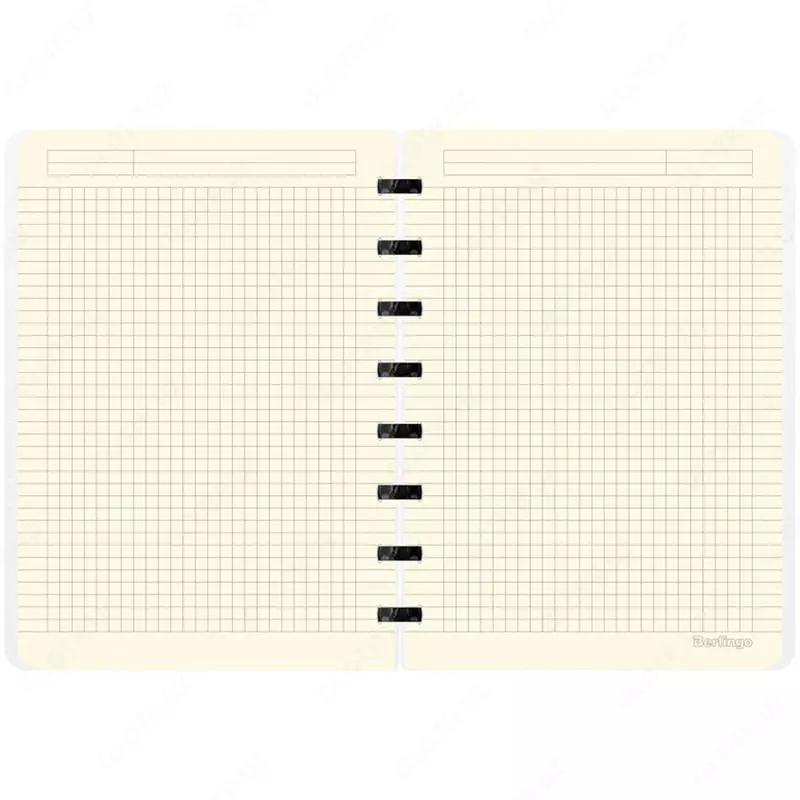 Бизнес-тетрадь Berlingo "First in Space" А5+, 220 х 160 мм, 80 л., обложка пластиковая, кольца (Арт. - RNt_A5201)