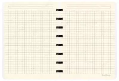 Бизнес - тетрадь Berlingo "Radiance" А5+, 80 л, на кольцах, пластик. обложка (Арт. - RNt_A5502) Розовая/Голубая