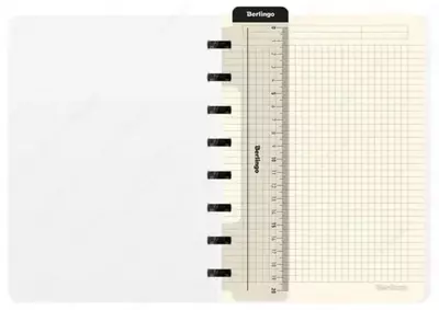 Бизнес-тетрадь Berlingo "Scenic" А5+, 220 х 160 мм, 80 л., обложка пластиковая, кольца (Арт. - RNt_A5S16)
