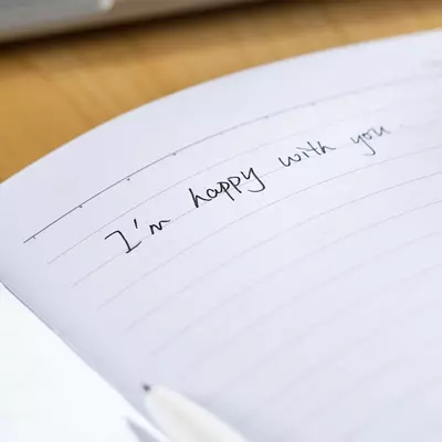 Блокнот (линия) "Deli" 252 х 174 мм, 96 л., твердая обложка (Арт. - 324-EN) Ассортимент