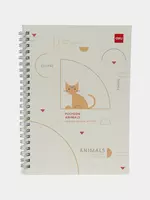 твердая обложка