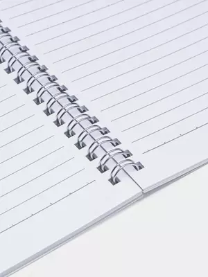 Notalar uchun bloknot (chiziq) "Deli" B5, 60 l., qattiq plastik qopqoq, metall. spiral (Art. - 560-ELPB-LX-19) Shaffof