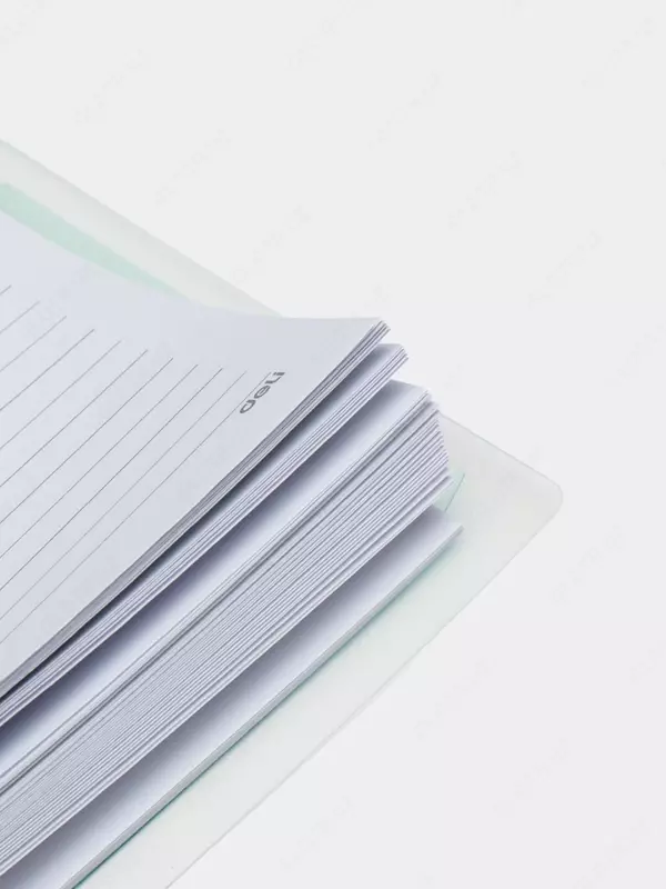 Eslatmalar uchun bloknot (chiziq) "Deli" B5, 60 l., qattiq plastik qopqoq, plastmassa. spiral, ichki almashtirish blok, rang indekslari (modda - 021-EN-gn) Shaffof/Yashil