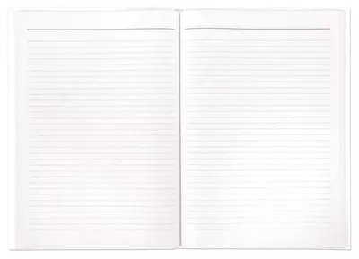 Eslatmalar uchun bloknot (chiziq, kvadrat), A4, qattiq muqova (Art. - BlA4) Assortiment