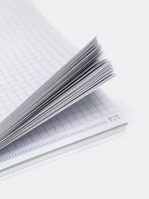 Блокнот (клетка) "MESHU Neko" А5, 60 л., твердая пласт. обложка, пласт. гребень (Арт. - MS_55023)