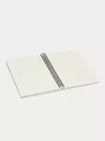 евроспираль