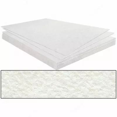 Акварельная бумага для рисования "Лилия Холдинг" (среднее зерно) А2, 594 х 420 мм, 200 г/м2 (Арт. - БР-0378) Белая