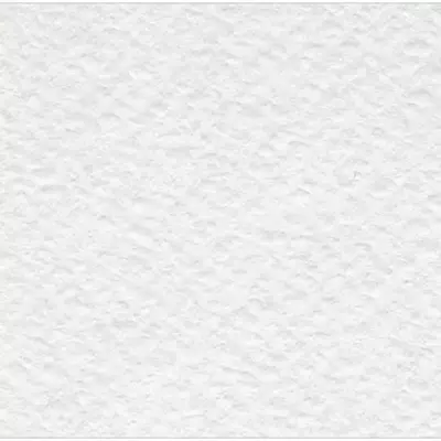 Akvarel qog'ozi (o'rta donali) "Torshon" "LenGoznak" A1, 200 g/m2, 100 varaq. (m. - 246257) Oq