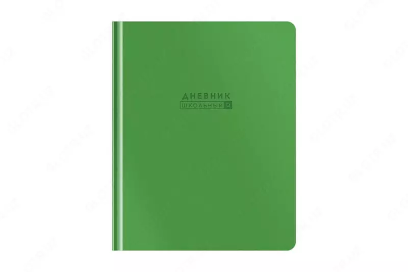 Школьный дневник ArtSpace "Mono" 1-11 кл, А5, иск. кожа, твердая обложка, закл. ляссе,  48 л. (Арт. - DU48kh_48629) Зеленый