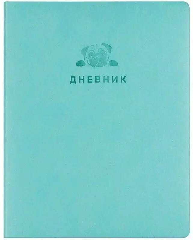 Maktab kundaligi BG Light "Monocolor" 1-11 sinflar, A5, san'at. teri, qattiq muqovali, xatcho‘p xatcho'p, 48 p. (Art. - Dick5i48_tt_10439) Turkuaz