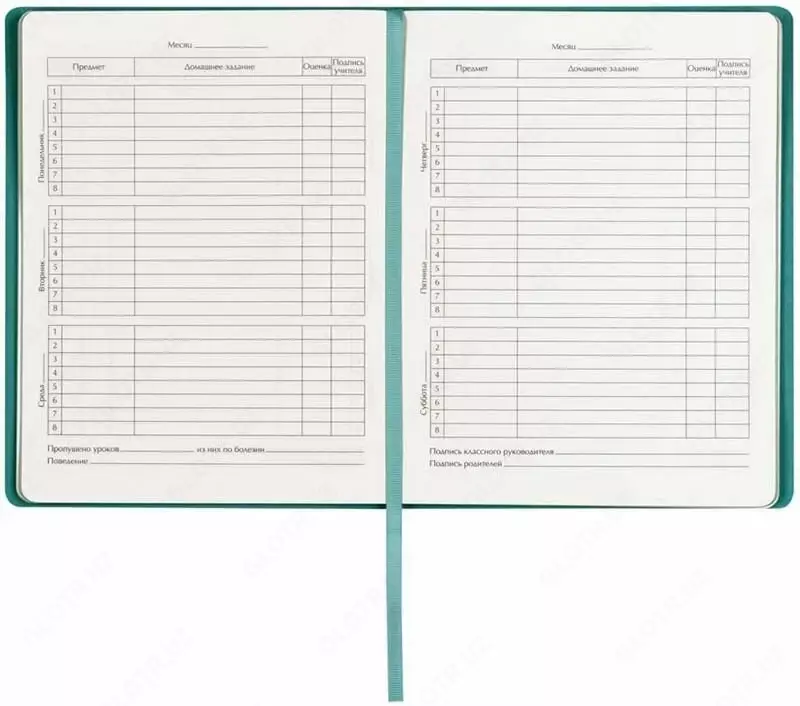 Maktab kundaligi BG Light "Monocolor" 1-11 sinflar, A5, san'at. teri, qattiq muqovali, xatcho‘p xatcho'p, 48 p. (Art. - Dick5i48_tt_10439) Turkuaz