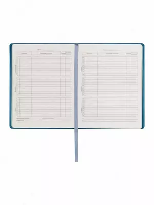 Школьный дневник BG Лайт "Monocolor" 1-11 кл, А5, иск. кожа, интегр. обложка, закл. ляссе, 48 л. (Арт. - Дик5и48_тт_10438) Голубой