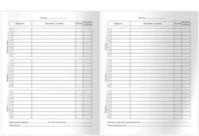 Школьный дневник BG "Решающий гол" 1-4 кл, А5, мат. ламинация, твердая обложка, 48 л. (Арт. - Д5т48_лм_вл_1139)