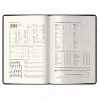 184 л. (Арт. - DD4_93533) Фиолетовый