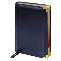 Датированный Ежедневник 2024 г. "Delucci"