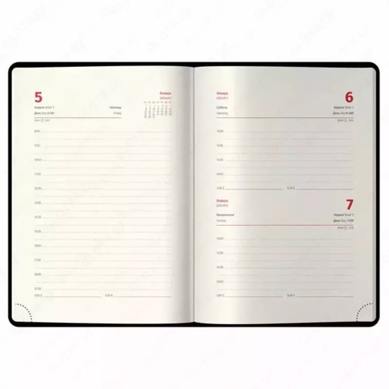 Датированный Ежедневник 2024 г. "Berlingo" Starlight S, иск. кожа, А5, 184 л. (Арт. - DD4_84503) Розовый