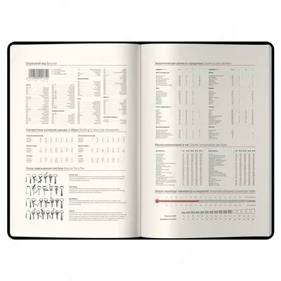 Датированный Ежедневник 2024 г. "Berlingo" Silver Pristine, иск. кожа, А6, 184 л. (Арт. - DD4_82601) Черный