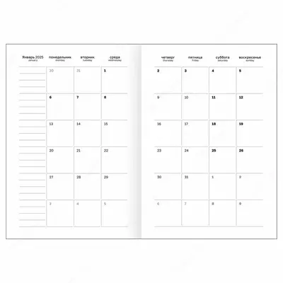Датированный Ежедневник 2025 г. "BG", бум. винил, А5, 168 л. (Арт. - ЕД5тБВ_59612) Зеленый