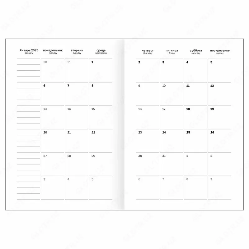 Датированный Ежедневник 2025 г. "BG", бум. винил, А5, 168 л. (Арт. - ЕД5тБВ_59613) Коричневый