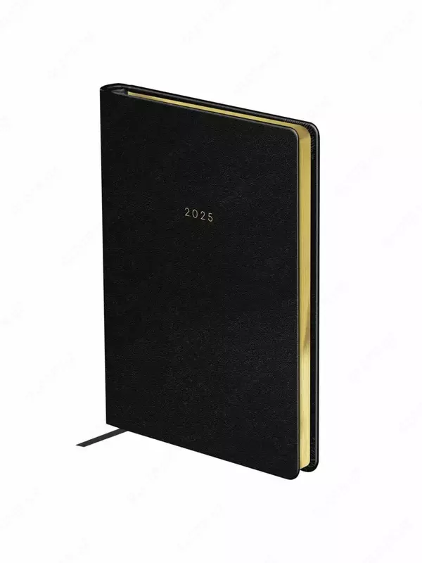 Датированный Ежедневник 2025 г. "BG" Windsor, иск. кожа, А5, 176 л. (Арт. - DdA5_60847 ) Черный